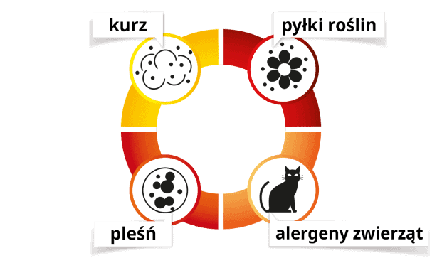 Zoochlor niska emisja dla alergików i właścicieli zwierząt, diagram cyklu alergennego, pyłki roślin, pleśń, kurz.